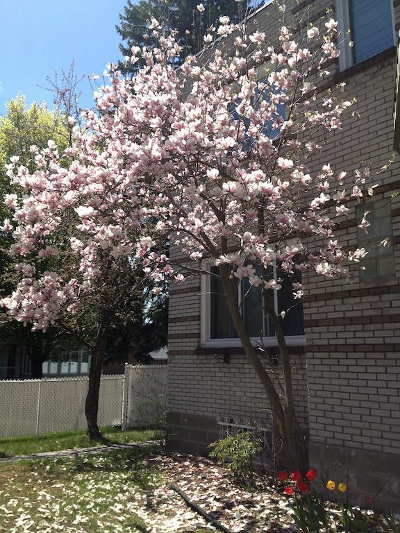 Magnolia B&B Granby Exteriör bild