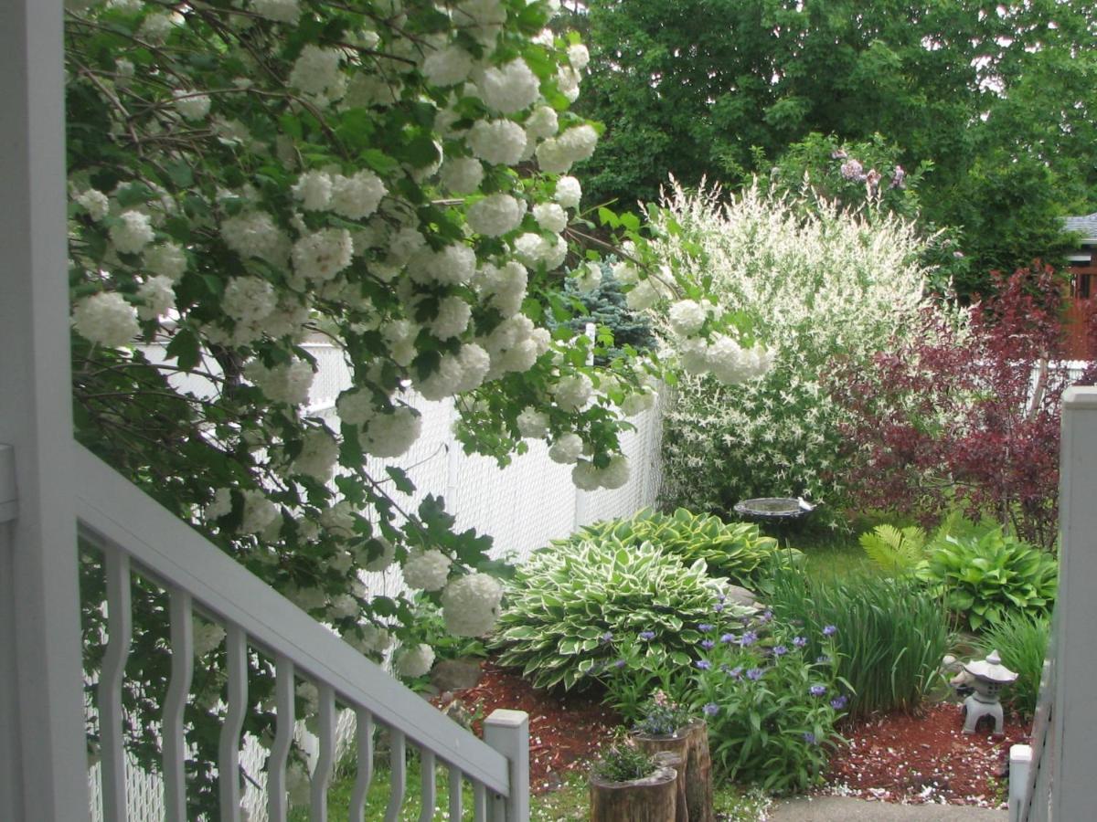 Magnolia B&B Granby Exteriör bild